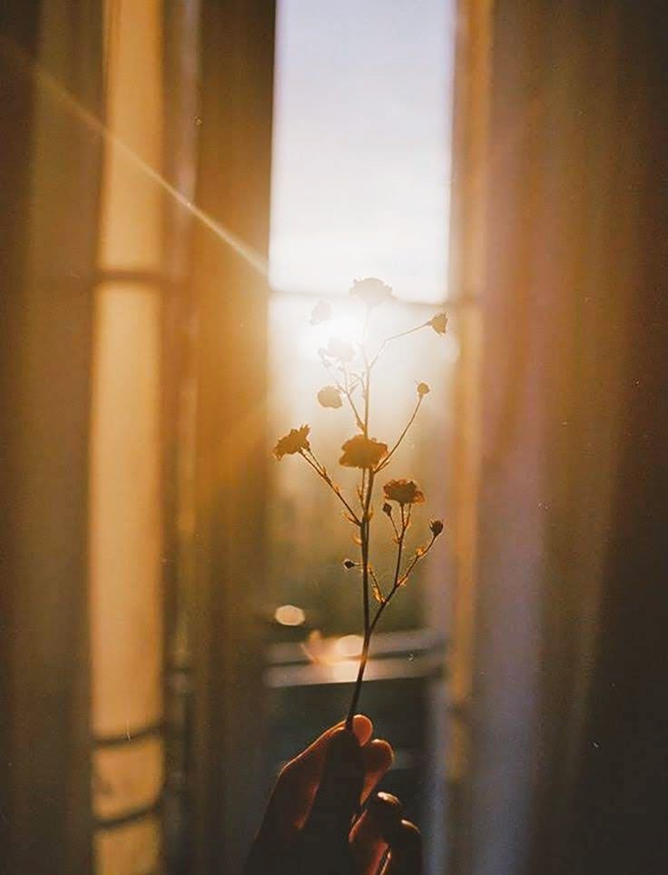 Image post