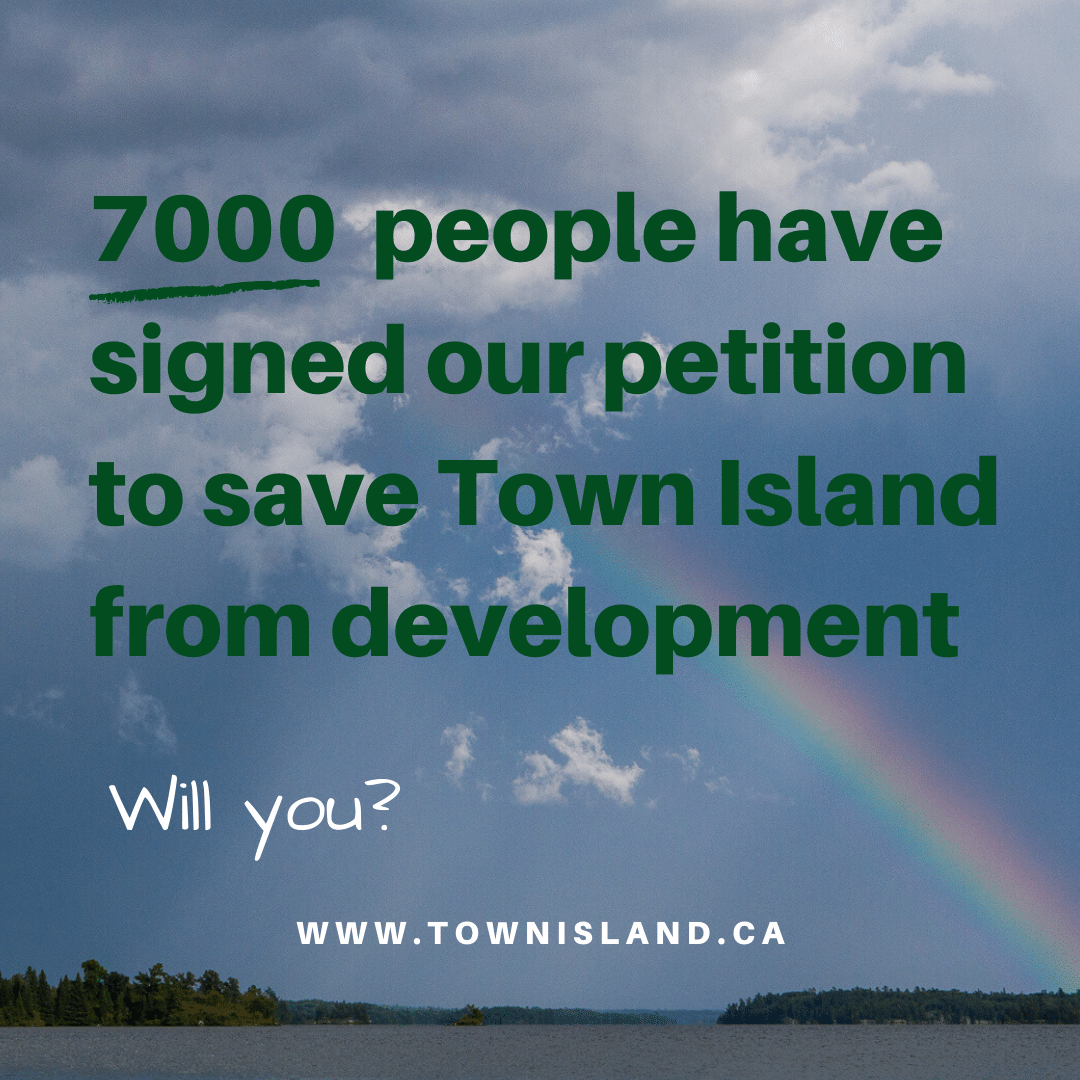 town_island's tweet photo. Help us keep Lake of the Woods beautiful and wild. 
Sign here -->  https://t.co/W7rSR23TKl 🌲🛶 
#Townisland #ONpoli #ONdangered #naturenow https://t.co/64N46JZB98