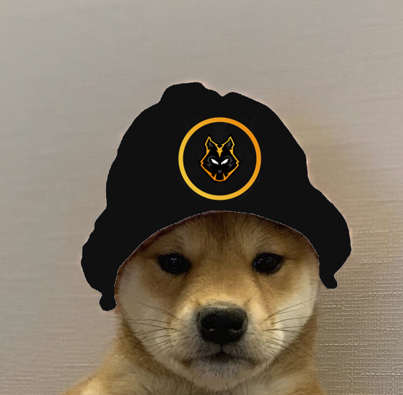 swiftgamingOFC's tweet photo. #NewProfilePic #dogwifhatgang #swiftgaming https://t.co/95FiR0NhOb