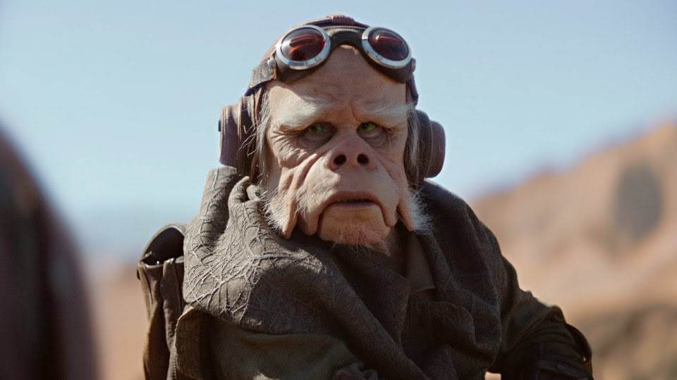 This is the ideal male body. You may not like it, but this is what peak performance looks like.