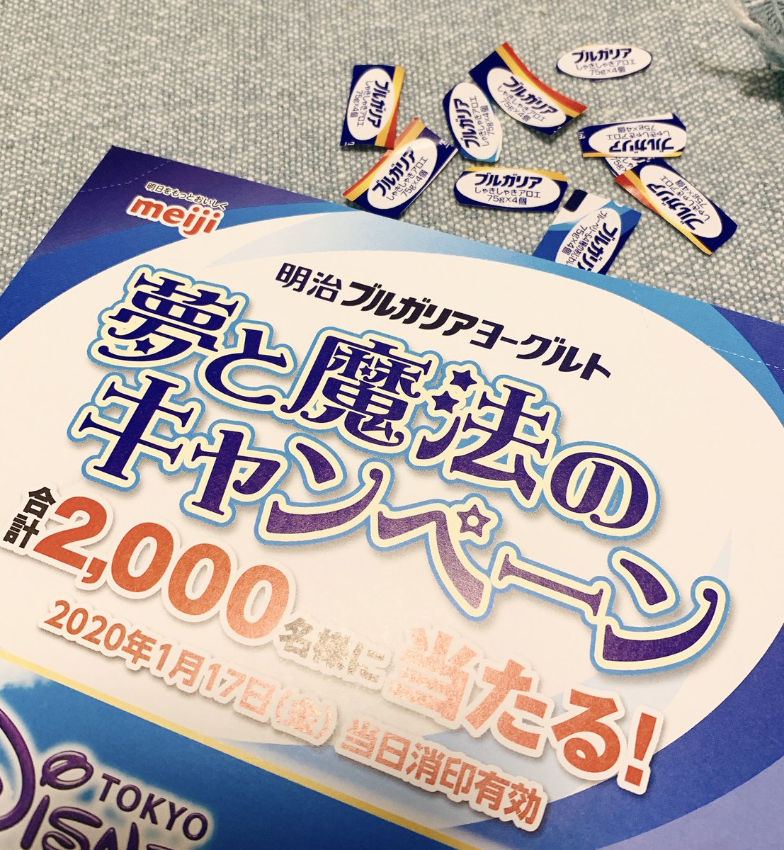 夢と魔法のキャンペーン 夢と魔法のキャンペーン