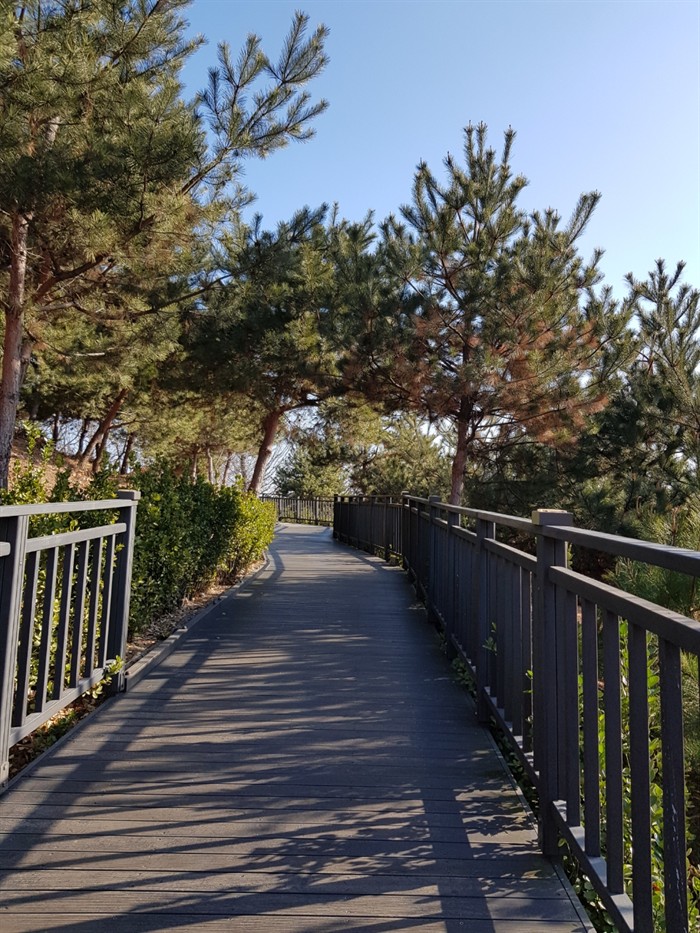 [moi] 겨울에도 걷기 좋은 자락길로 산책 나가보세요!산에 오르기 힘든 사람들을 위해 만든 무장애길, 걷기 편하게 나무데크로 산을 둘러 걷게 만든 자락길! 턱도 없고 계단도 없어서 노인이나 휠체어 탄 사람들도 갈 수 있는 산책길이에요.☞더 보기 omn.kr/1m589 #모이 #자락길 #나무데크