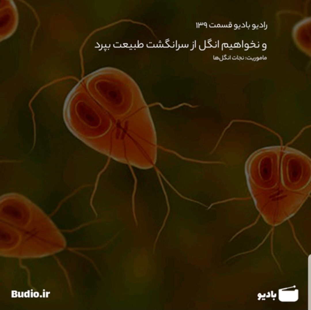 radiobudio's tweet photo. 🔹️اهمیت انگل‌ها برای ادامه بقای طبیعت و انسان!  مسعود زمانی در این بخش داستان‌هایی واقعی را از این طنز تلخ حقیقی بازگو می‌کند!

🎧ارائه شده توسط @Masoud_Zamani

🌍https://t.co/zelfYM8DQ6 https://t.co/xJYDRjT87G