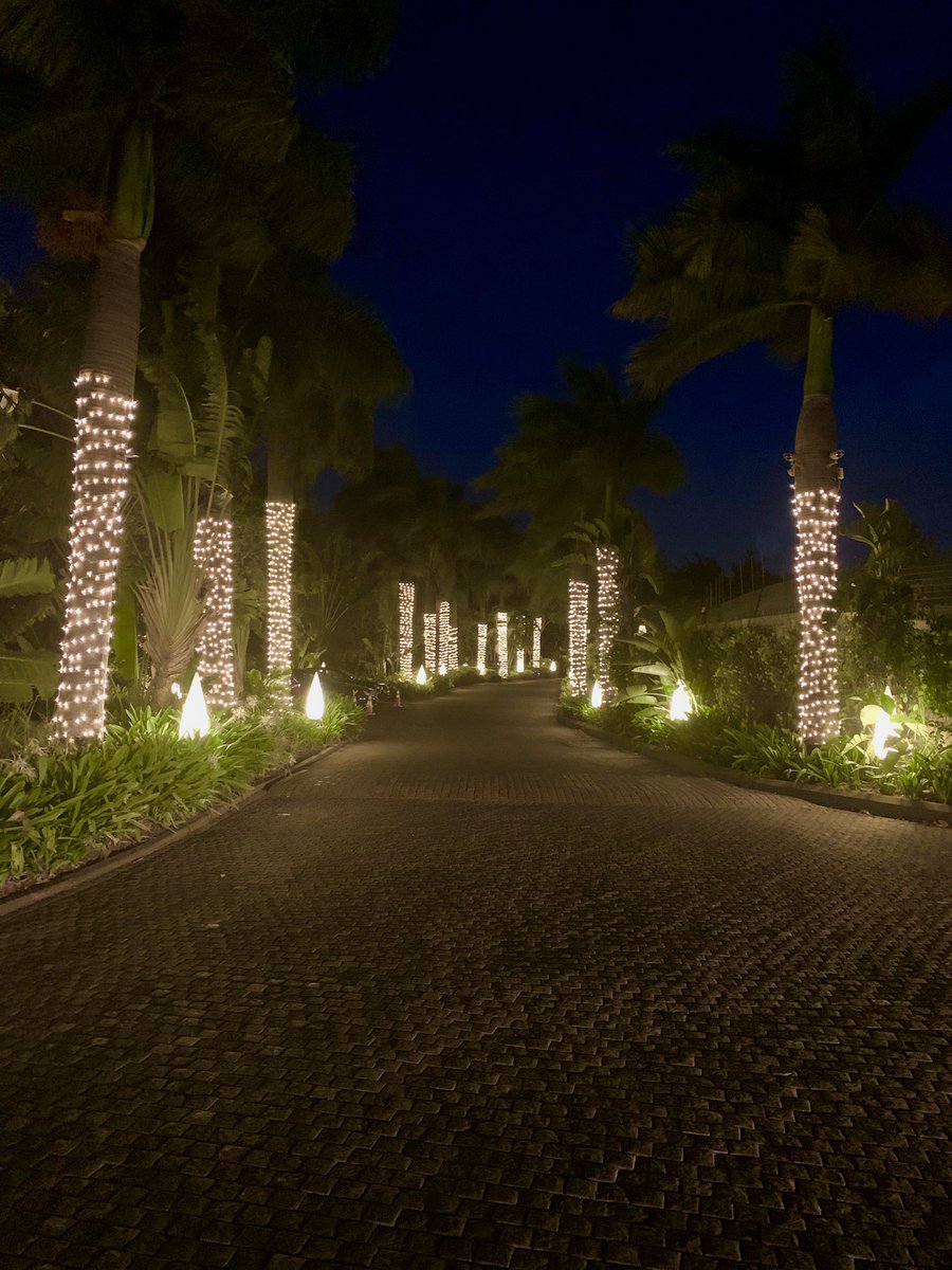 icmauritius's tweet photo. Christmas 2019
Live the #InterContinentalLife @icmauritius
#mauritius https://t.co/oF6utKLgNX