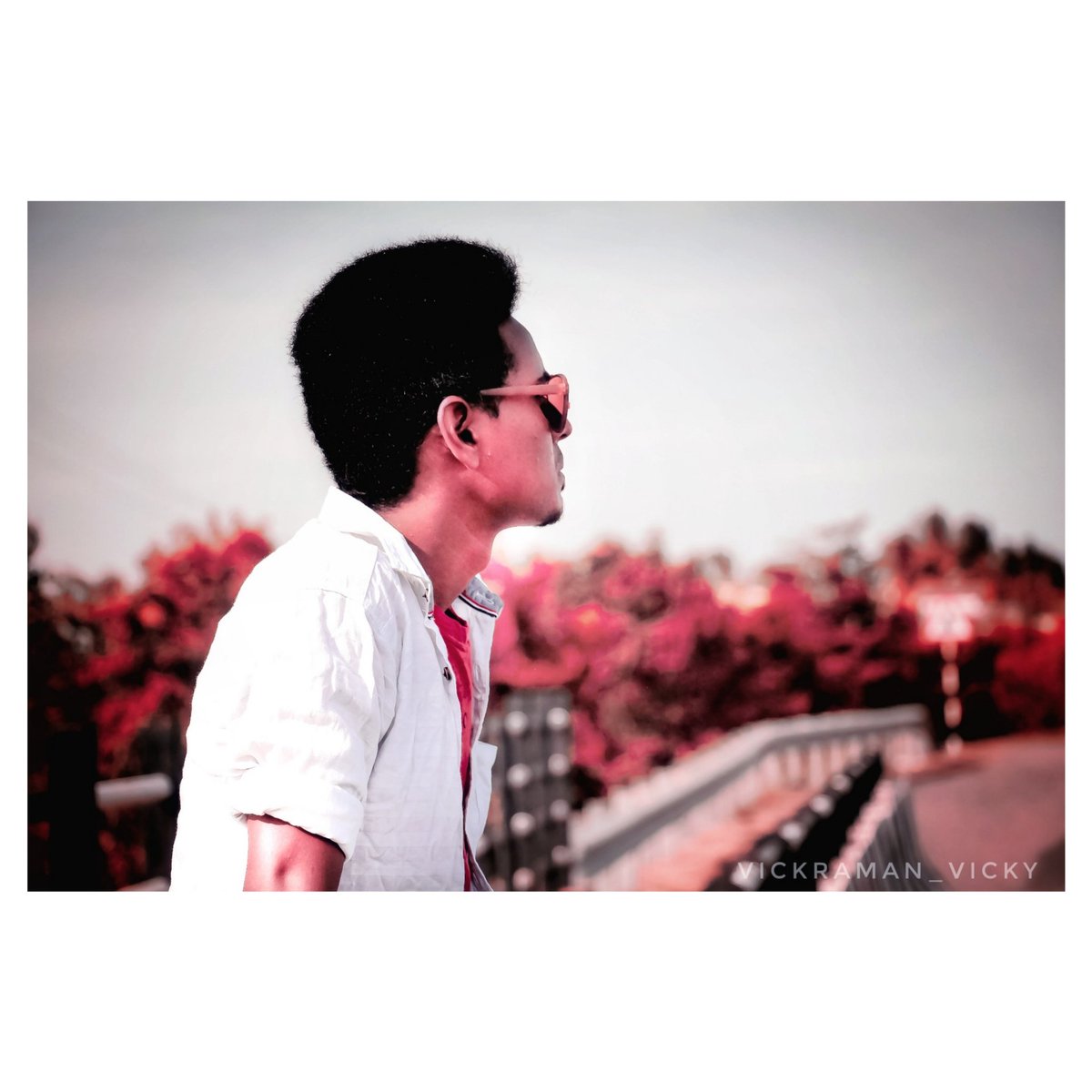 vickramavicky's tweet photo. #bepatient ✨❤  #everything_is_happens_for_a_reason 
:
#pc: @na17
#ec: @vickramavicky
:
#love #peace #life #alone 
:
#vickramanvicky #darling https://t.co/ngr1yEVz4A