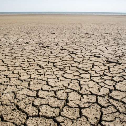 Aquasana's tweet photo. Depending on weight, height, and climate, there’s only a slight difference between adult men and women. #Water #Howmuchwater #cleanwater #nutrition https://t.co/GrBETLPHLx https://t.co/8zfz7jJqci