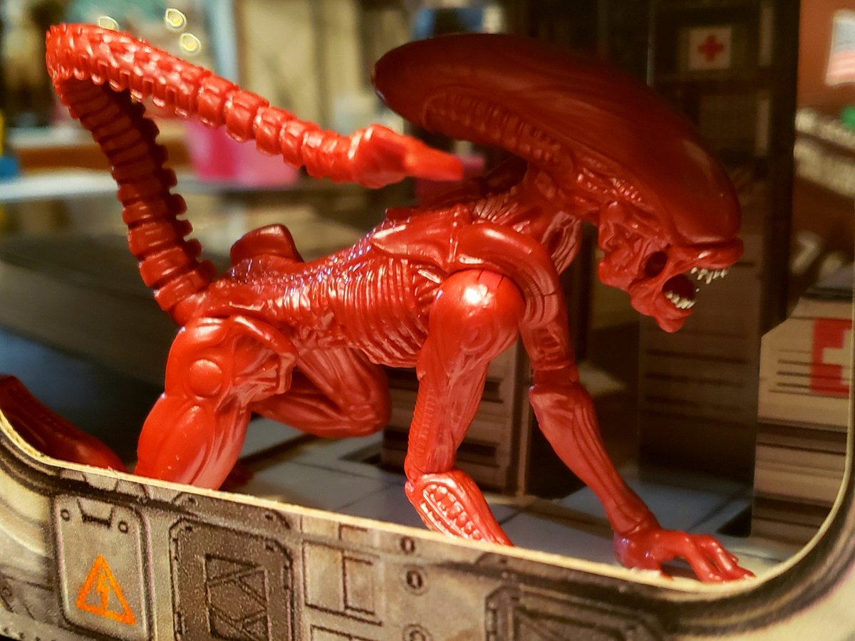 SwChamp's tweet photo. Having some #toytherapy w/ the @Walmart exclusive Xenomorph sets and @Readysetz diorama. Highly recommend these they are a lot of fun and work well with lots of 3.75" figures. I'm already seeing some crossover adventures with G.I. Joe and Star Wars.. maybe even Transformers. https://t.co/PwxTtwDhFJ