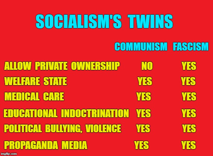 Pulfnick's tweet photo. @PaulDeCristofo4 @owlwoman911_ Please attempt to get informed.  Fascism is one form of socialism, diametrically opposed to the right! https://t.co/wTbzX40Ovg