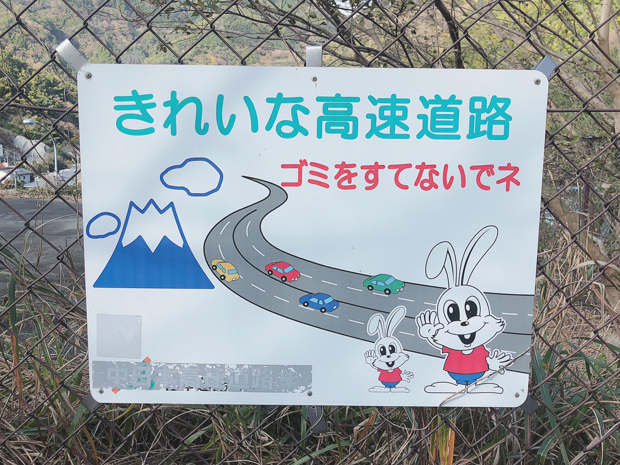 キキめざ on X: 