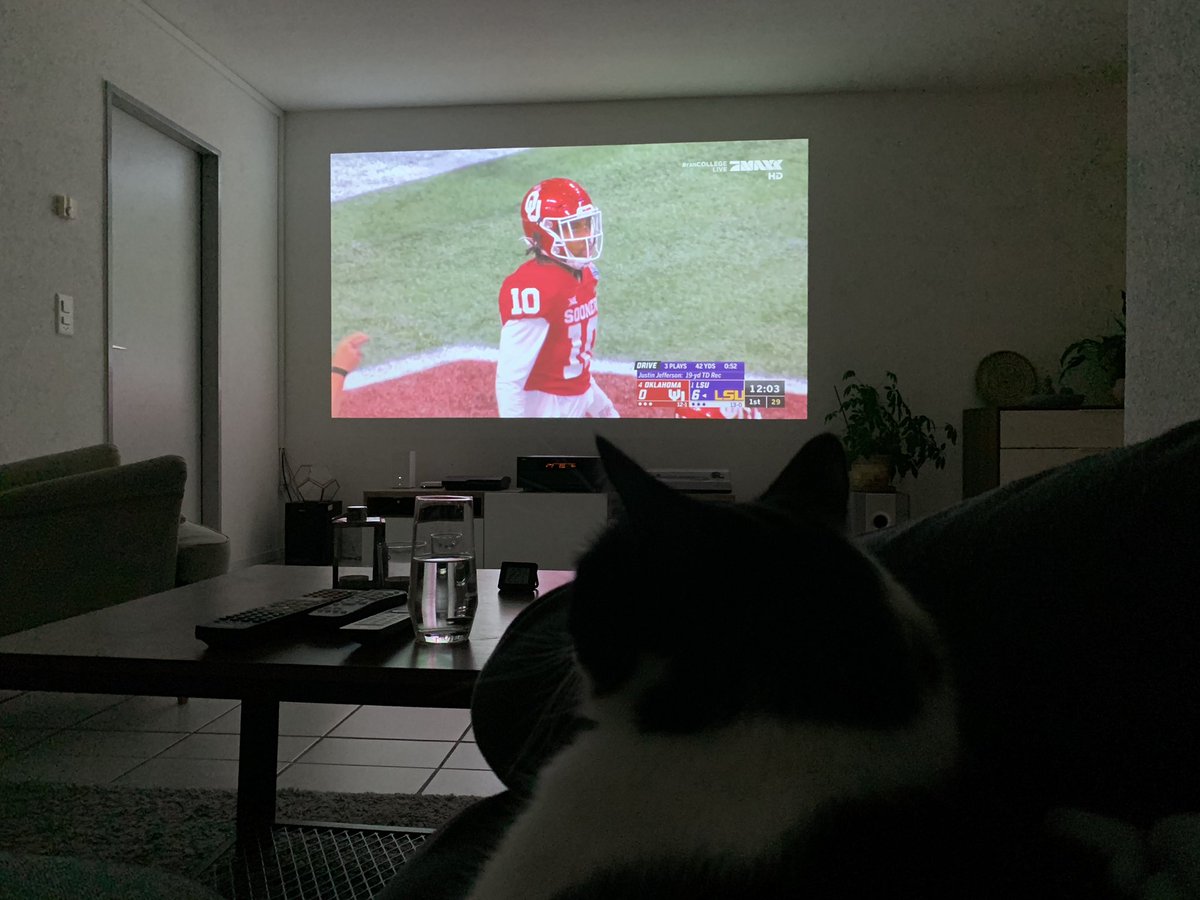 Lauriie_Lee's tweet photo. Wenn du trotz Newbie mit 1000 Fragen und kuschelbedürftiger Katze immer noch dabei bist 🏈 #ranCOLLEGE #CFBPlayoff #OUvsLSU #OSUvsCLEM #footballbromance #bromantiker #ranNFL @ransport @MikeLS91 #goodmorning https://t.co/5RBhdec2GM