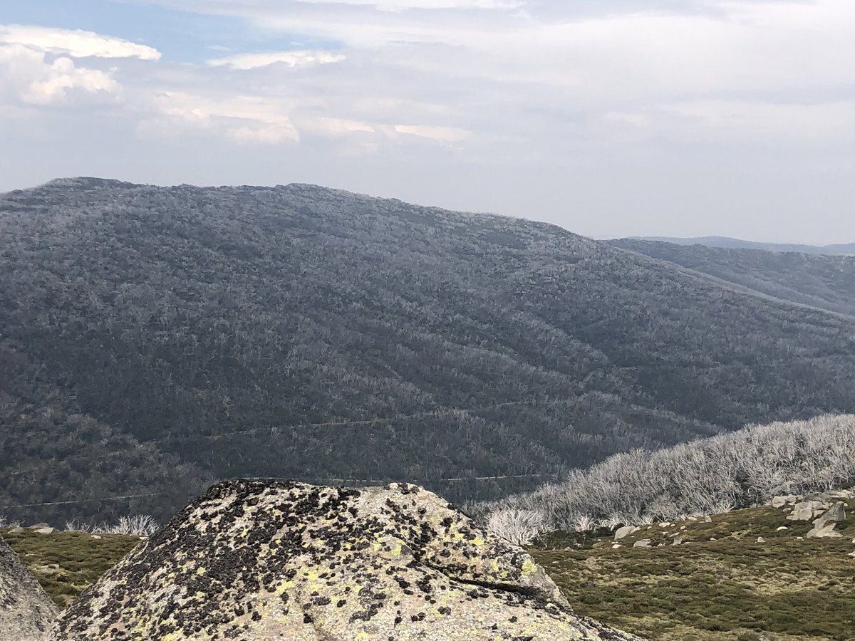 OK I’ve reached the eastern edge of The Rolling Ground. Crossing took 3x longer than planned due to navigation issues. Now just gotta get to the road far below. Looking for a track that takes me there. Will bush bash and cross river if can’t find it. Another relaxing # #AAWT arvo