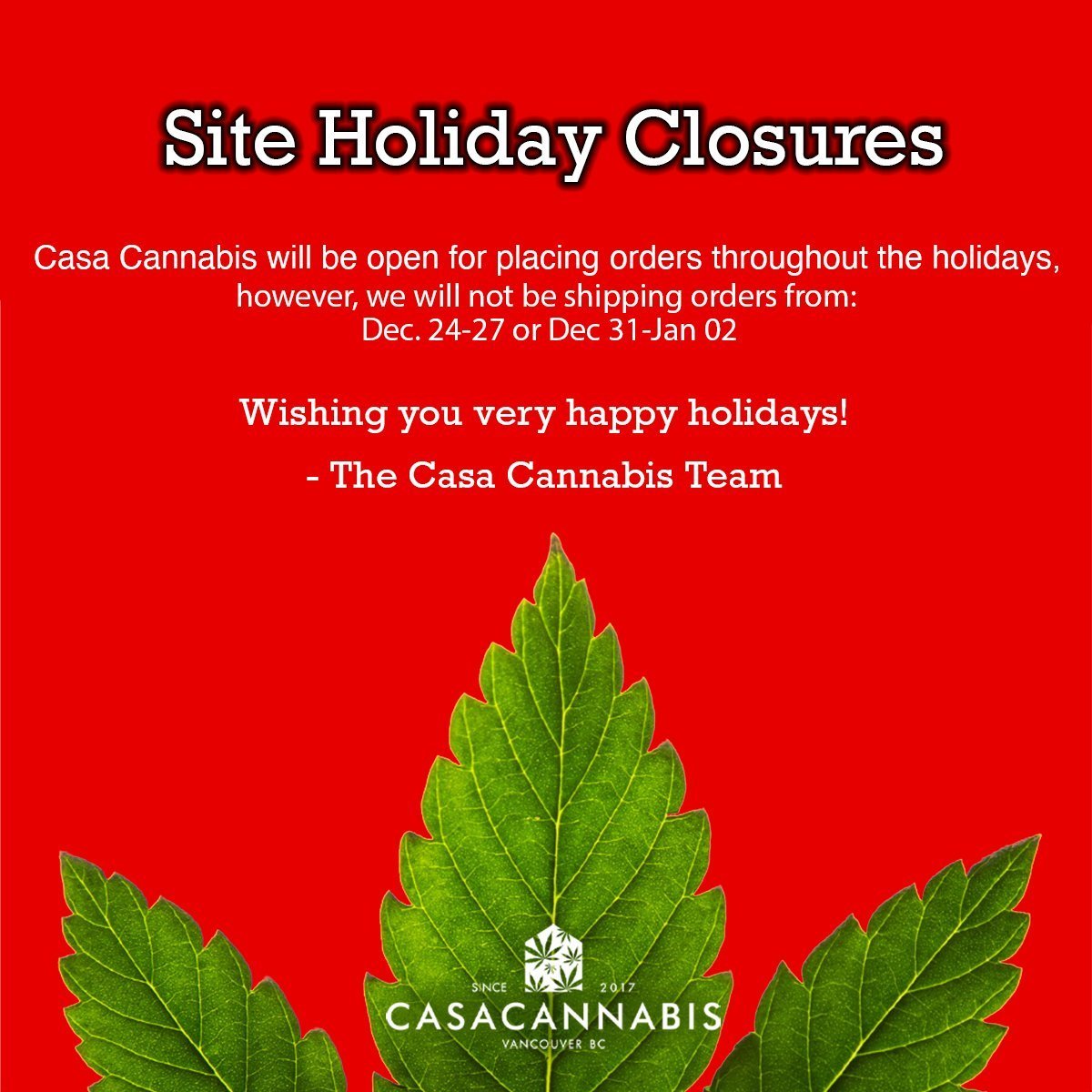 Casa Cannabis (@casa_cannabis) on Twitter photo 