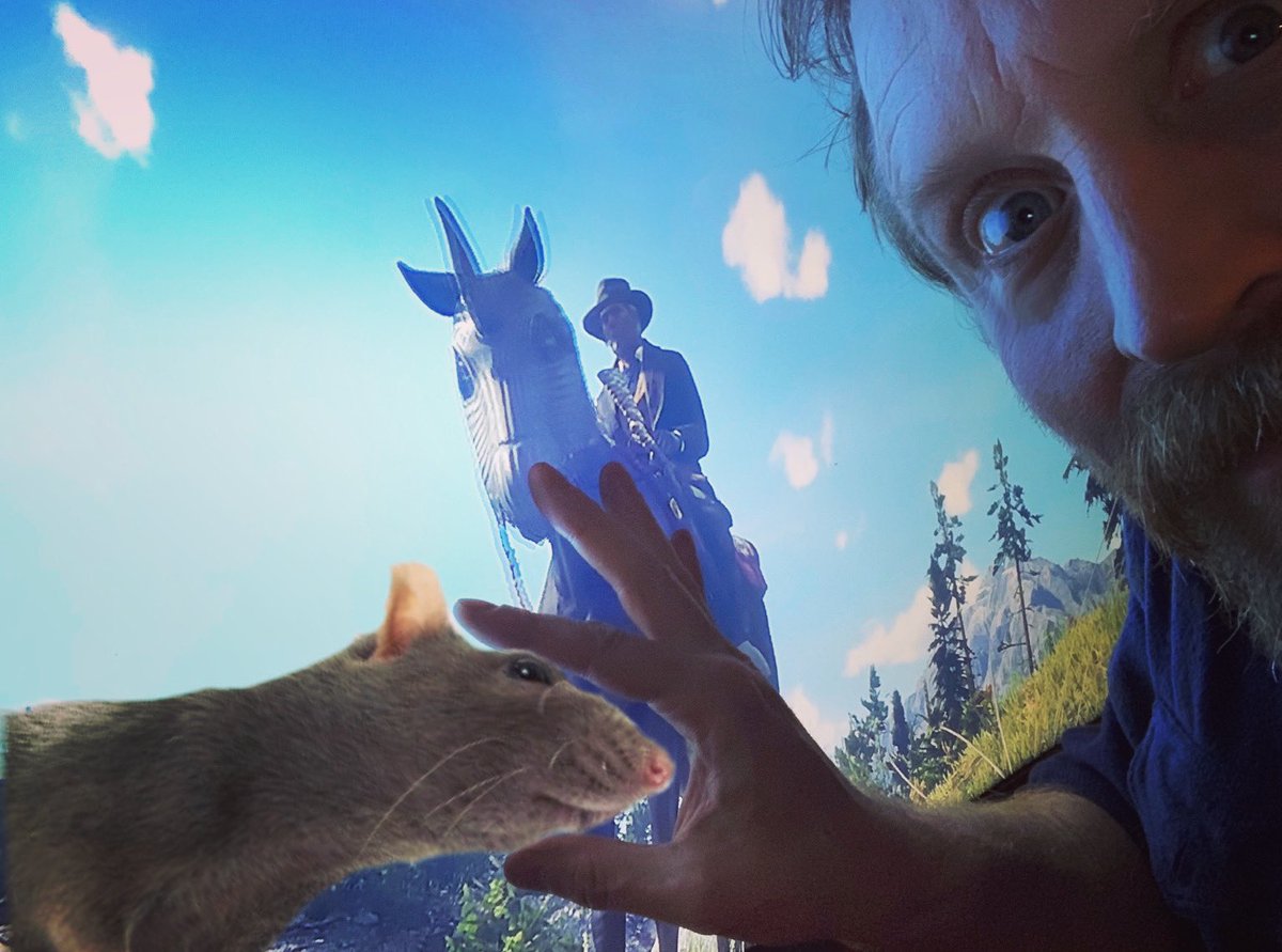 TheBlomquist's tweet photo. Thanks my lovely cowpokes for all the support and sweetness. I gently embrace a rat head in your honor. Be good.
#rat #rdr2 #micahbell #rdr2online #outlawsforlife #rathead #ratsareactuallygreatpets https://t.co/UdvcEblPjE