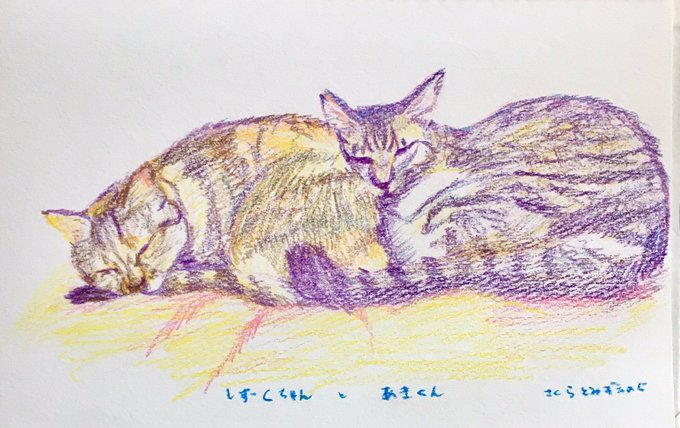 えんぴつのtwitterイラスト検索結果 古い順 えんぴつのtwitterイラスト検索結果 古い順
