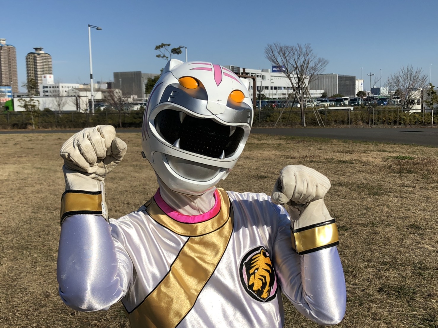 百獣戦隊　コスプレ用マスク　塗装完成品 百獣戦隊 コスプレ用マスク 塗装完成品