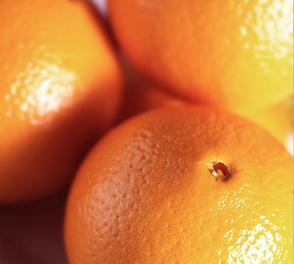 Serving you fresh food photography to help you recover from the egg nog. . . #happyholidays #festive