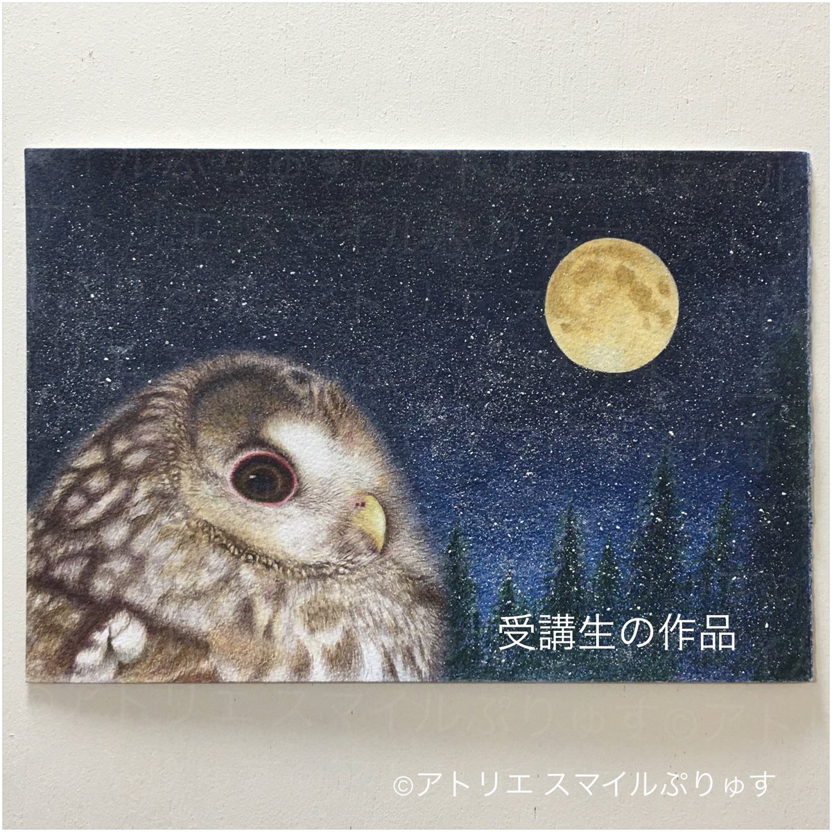 森口慶一 画家 色鉛筆画講師 色鉛筆教室 受講生の色鉛筆画作品 フクロウの背景を 雪が降る様で表現されました この時期にとてもぴったりな昨日です 色鉛筆 色鉛筆教室 色鉛筆画 Art Coloredpencil Painting 教室 フクロウ 梟 フクロウの森