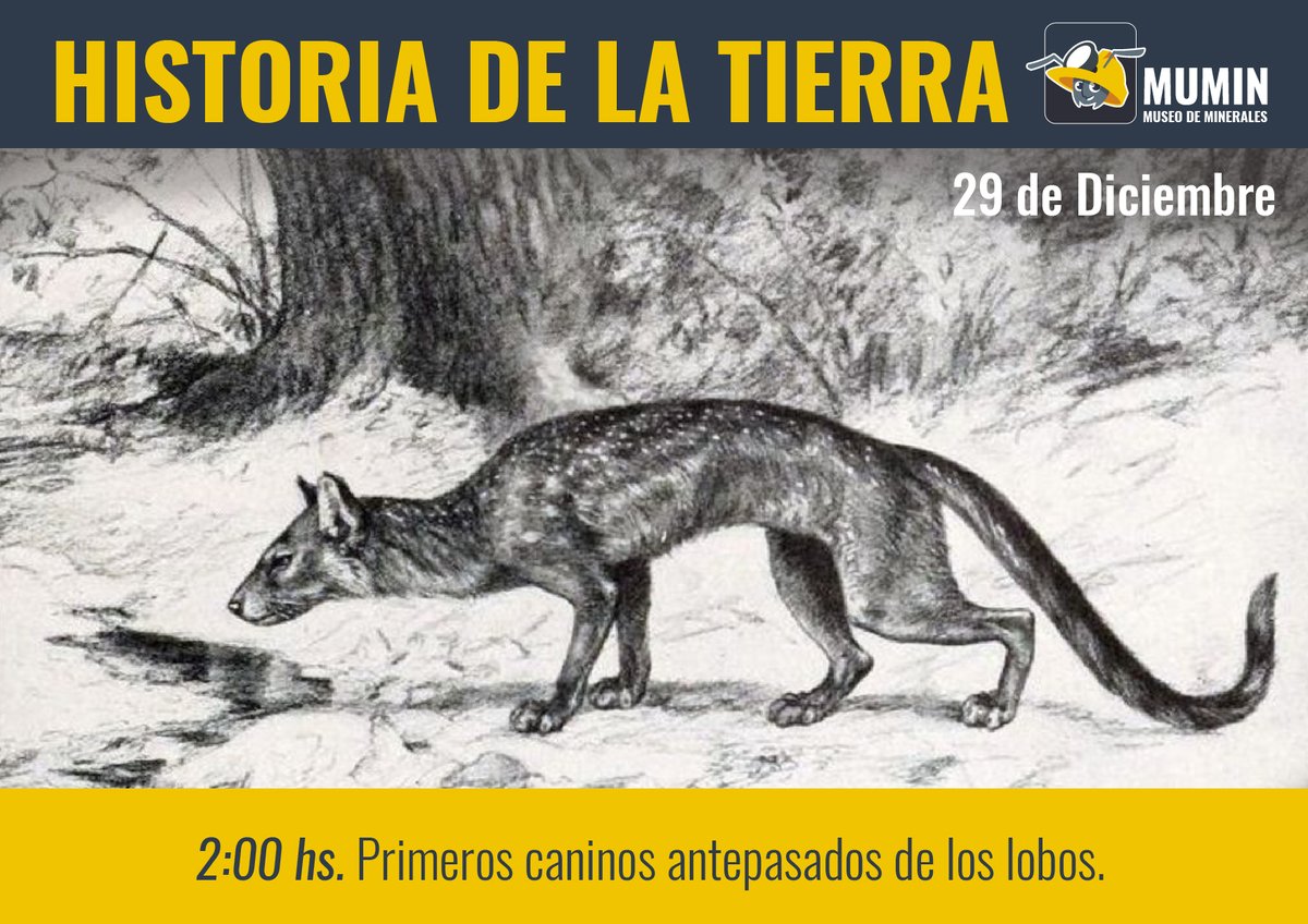 MuseoMumin's tweet photo. ¿Cómo sería el calendario 2019 si comprimiésemos los 4570 millones de años de historia de la Tierra en un año?
#Calendario2019 #Historia #HistoriadelaTierra #EarthHistory #geologyrocks #geologists #geology #geologia #geological #primeros #caninos #lovos https://t.co/uytjP63L8H