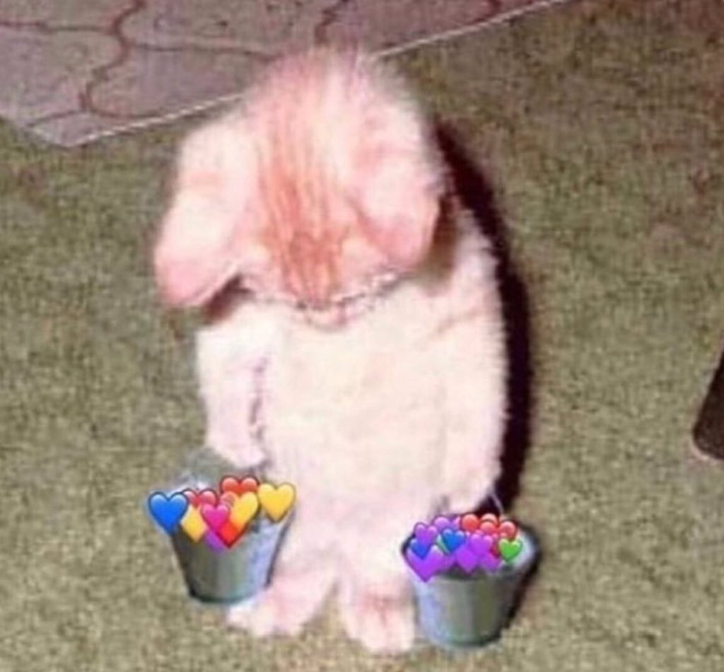 BarstoolOSU's tweet photo. don’t talk to me for a few days https://t.co/ekpTZ2hcTE