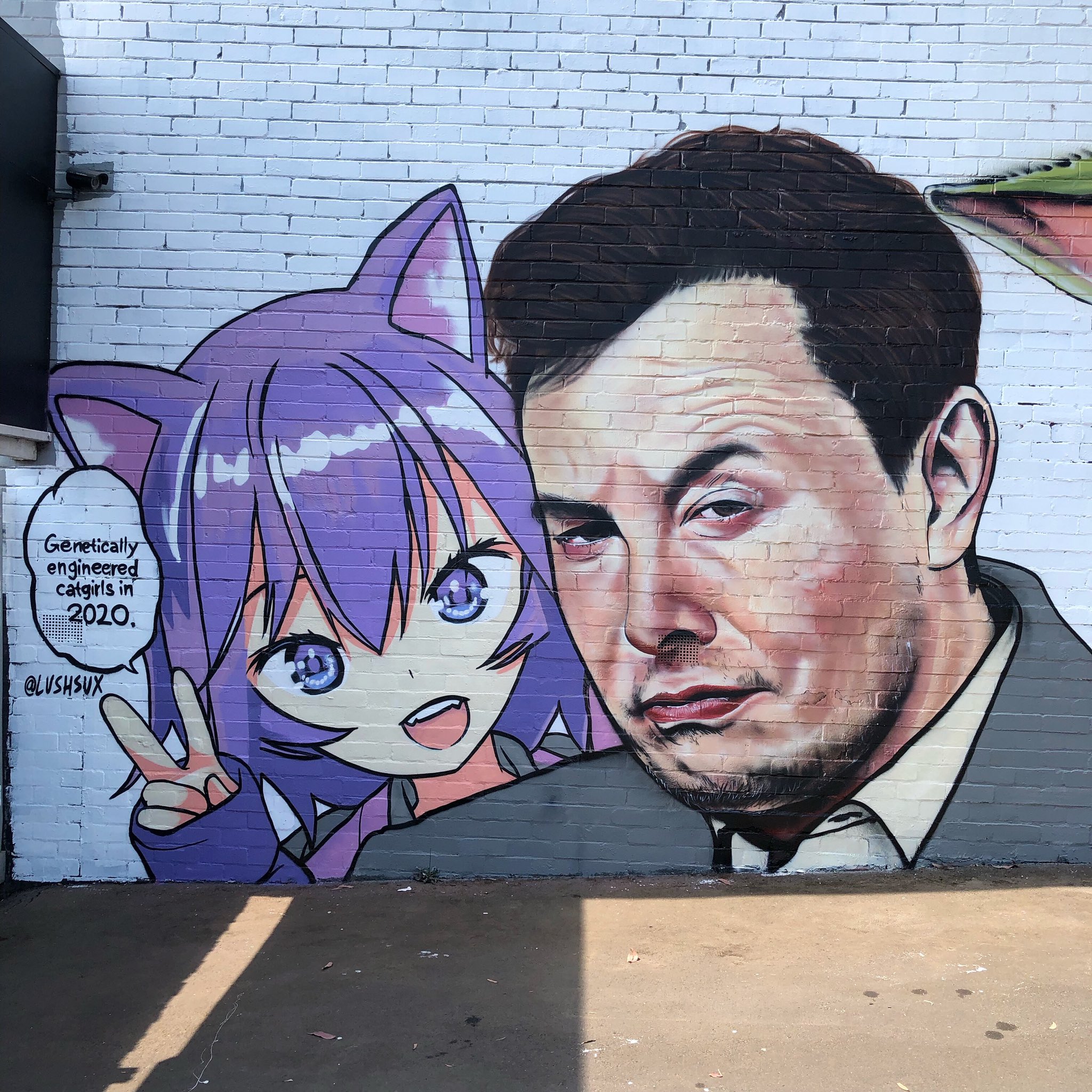 lushsux on X: Ayo @elonmusk can we get these catgirls earlier by any  chance?  / X