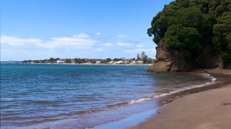 Spent my last day in Auckland swimming & reading @ Castor Bay Beach 🏝 People keep asking if I’m excited to go home... I am and I’m not? I’m excited to see family & friends, but the last 4 months in NZ & Oz have been unreal 😍 #PhDlife #ResearchAbroad

Next adventure on Jan 1 😉