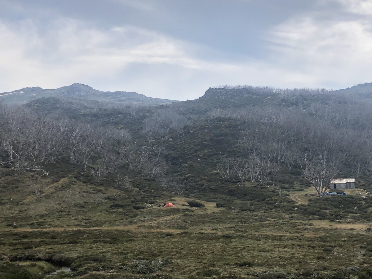 Track notes said look for an old track between two rock outcrops.BETWEEN TWO ROCK OUTCROPS! IN A LANDSCAPE COMPRISED ENTIRELY OF ROCK OUTCROPS! BAHAHAHAHAHAAnyway I found it. By this hut now. 3km still to camp or 10km if I can be bothered  #AAWT