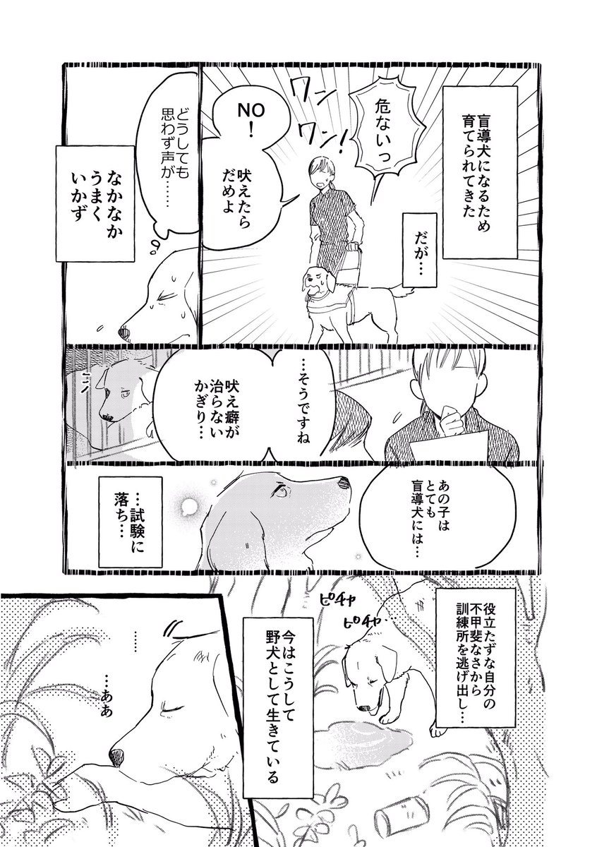 【創作漫画】盲導犬になれなかった犬の話(1/2) 