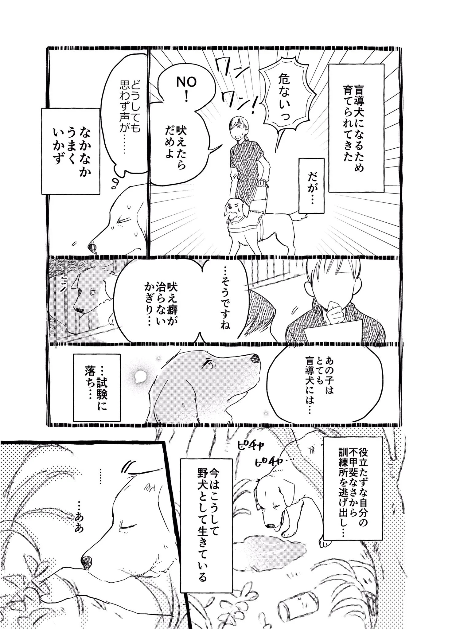 【ラストが涙で滲んで見えない】盲導犬になれなかった犬の話が心を震わせる