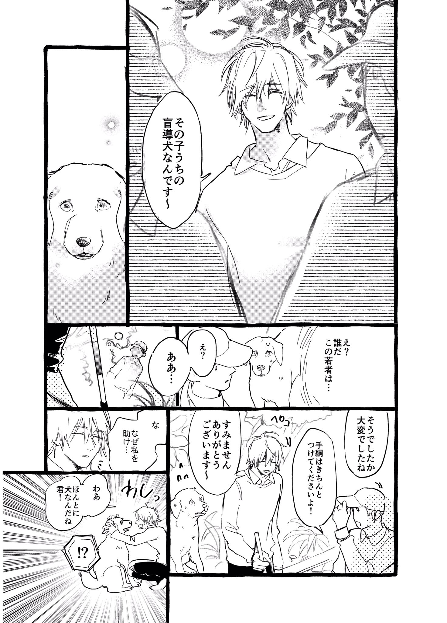 ラストが涙で滲んで見えない 盲導犬になれなかった犬の話が心を震わせる 話題の画像プラス