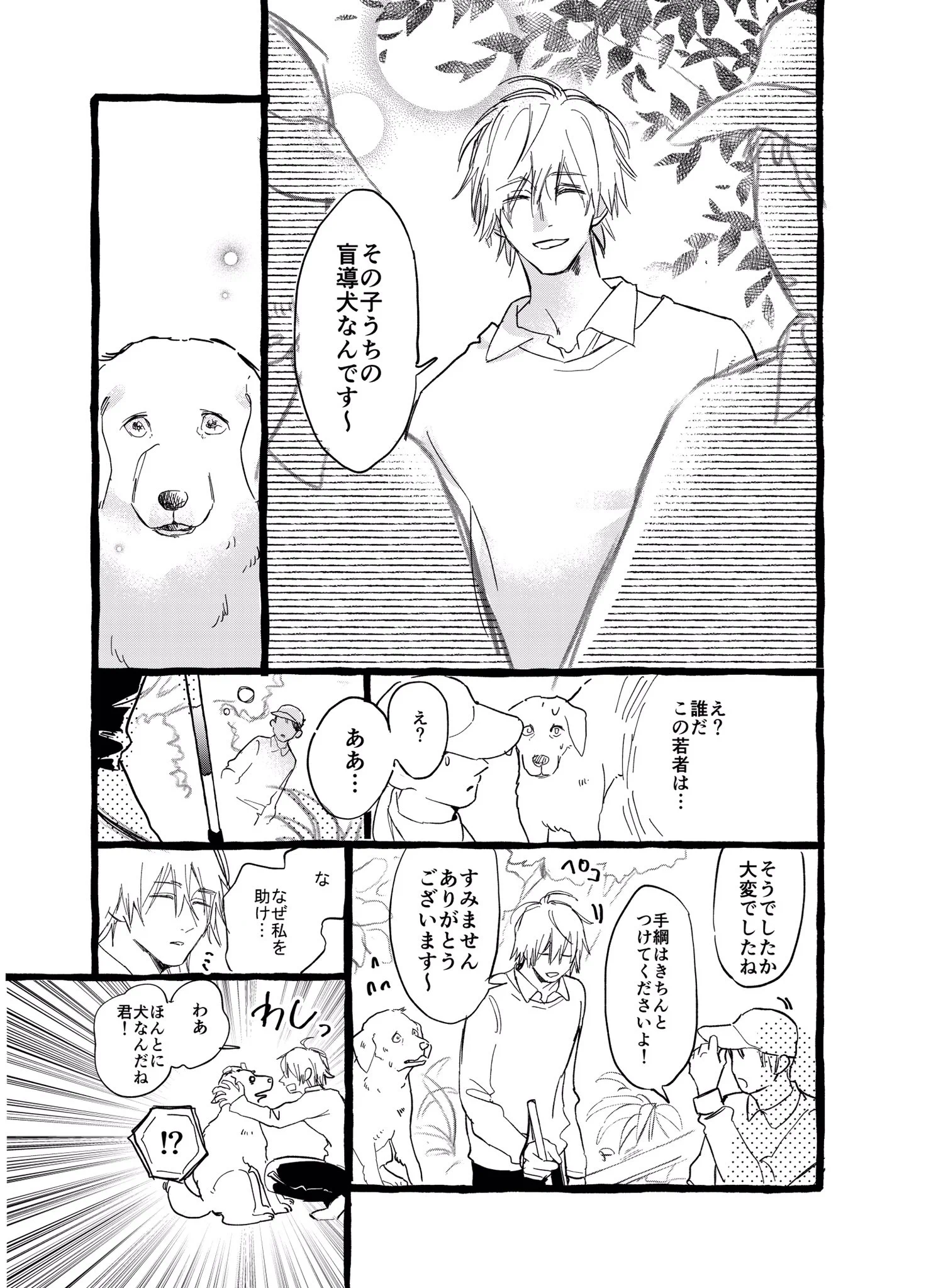 【ラストが涙で滲んで見えない】盲導犬になれなかった犬の話が心を震わせる