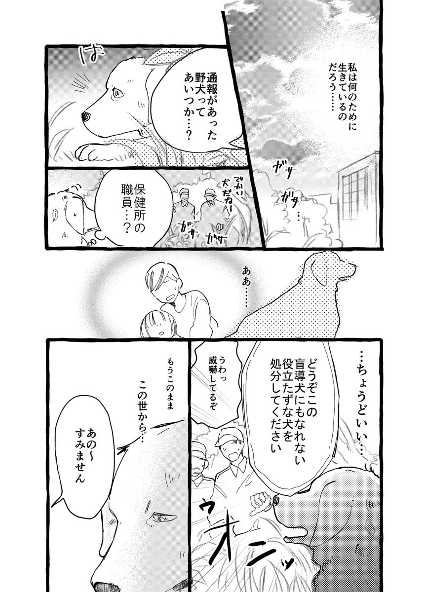 【創作漫画】盲導犬になれなかった犬の話(1/2) 