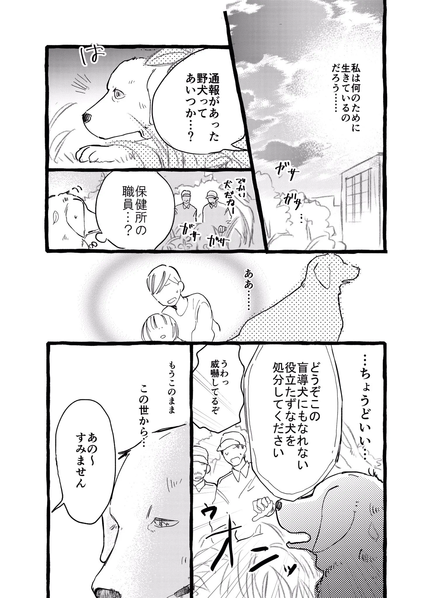【ラストが涙で滲んで見えない】盲導犬になれなかった犬の話が心を震わせる