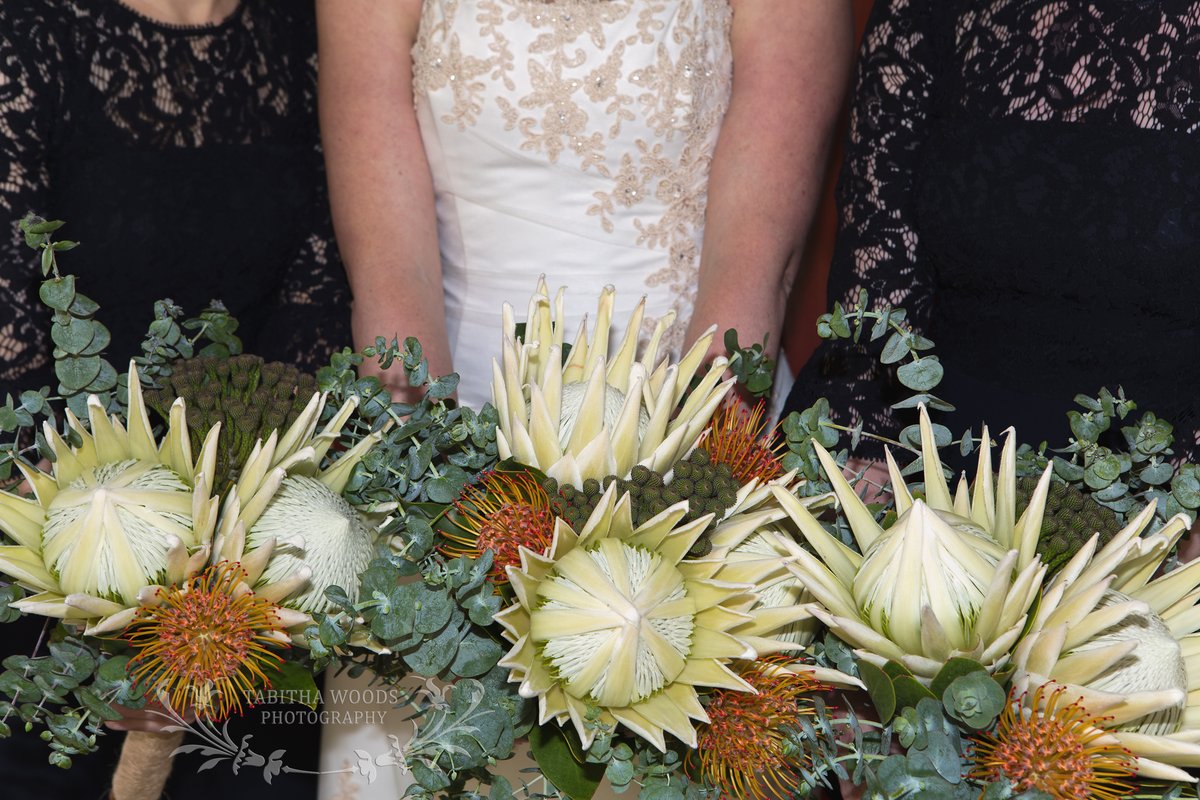 I'm a sucker for #diy and #proteas #diybridalbouquets 😍
#weddingbouquets #weddingphotographer #weddingphotography #tabithawoodsphotography #wellingtonphotographer #kiwiweddings #kapitiwedding