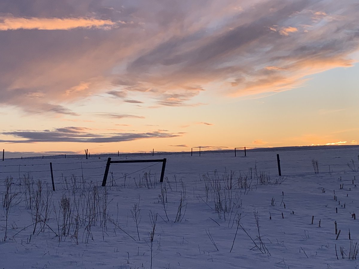 Pretty much a Charlie Russell painting! #TheGift #Albertaskies #ranchlife