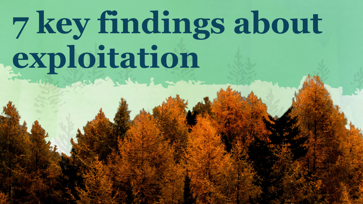 A Wilderness Way tweet media