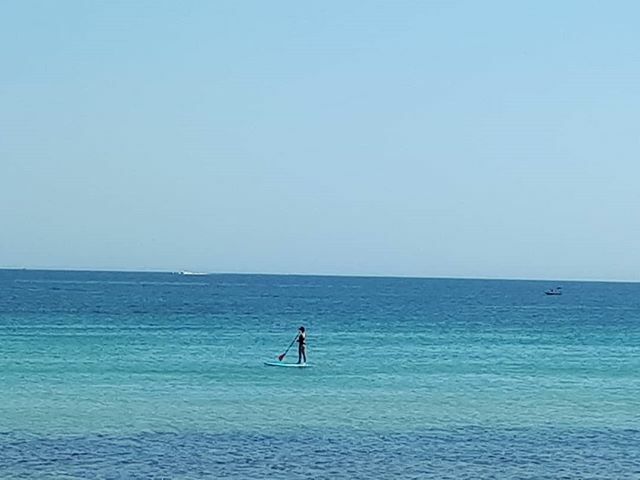 Health_Lab_Live's tweet image. Snaparazzi spotted me on ze board this morning. ift.tt/39mNqUt