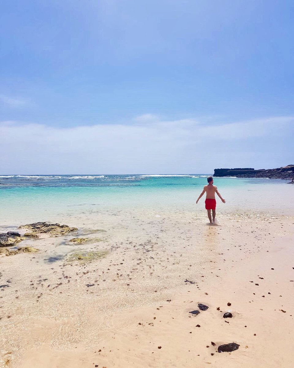 andreasposito_'s tweet photo. “ Fammi tornare là ... “ 🎶☀️��� .
Best memories, Fuerteventura 🇪🇸🌍

#Fuerteventura #libertà #españa #canarias #bignè #oceano https://t.co/XoaVwHOYBn