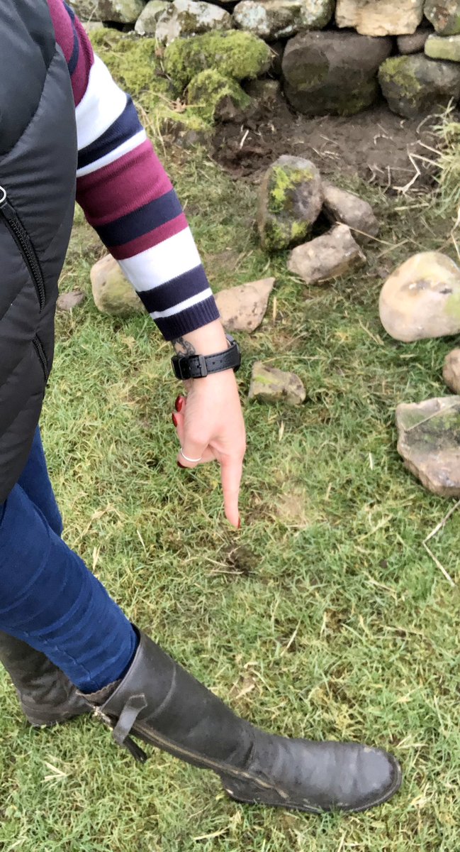 LizHoggarth's tweet photo. Apparently Iโm dressed too โCountryโ to wall a gap!! Off to find my #flexothane pants and @LeChameau1927 wellies. #BestFriends #hobby #sundayjob https://t.co/p72hgRXfow