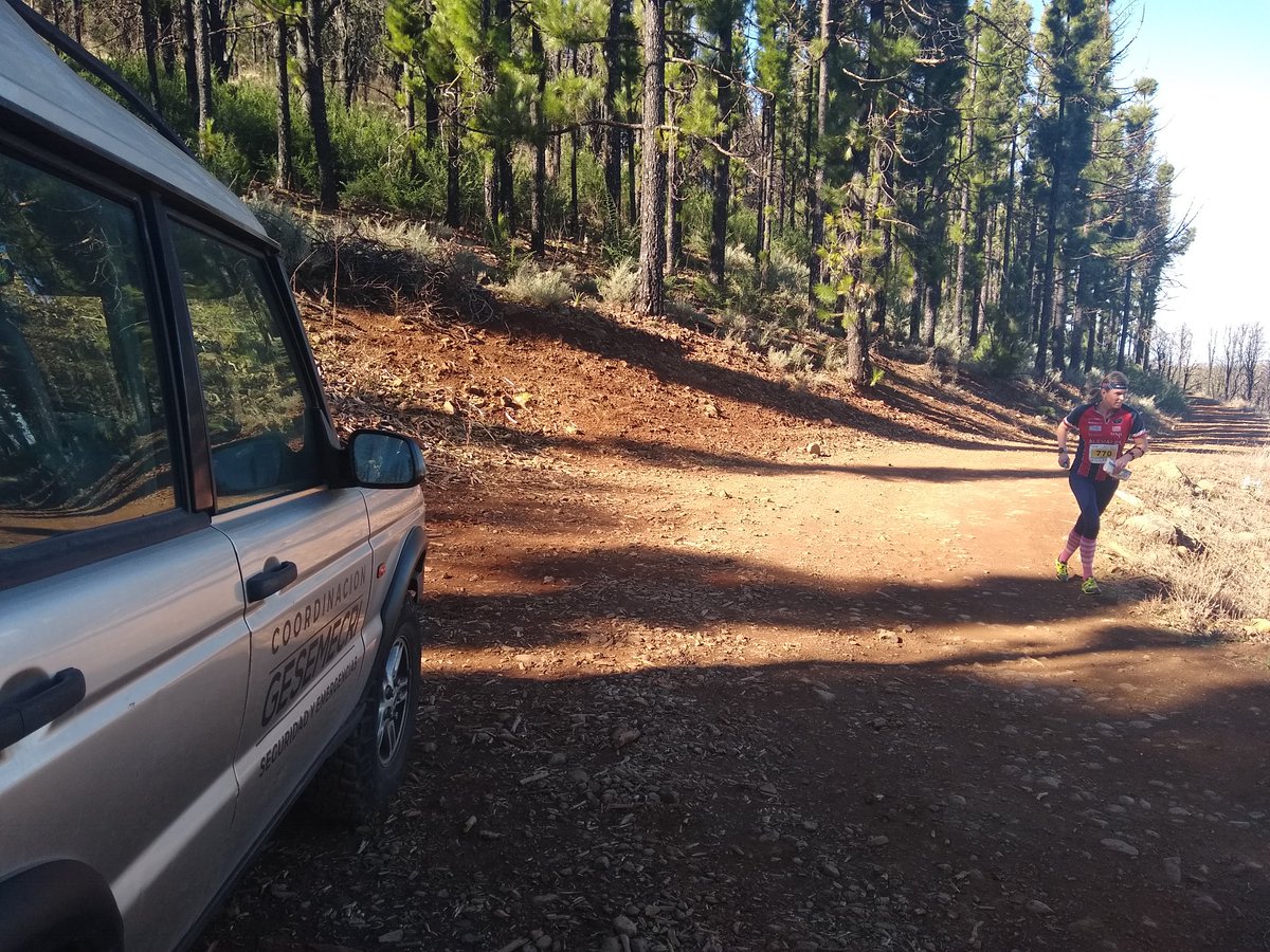 Gesemecri's tweet photo. Día espectacular para la práctica de #Orientación en la tercera jornada de competición #GCOM2019.
Deportistas llegados desde muy lejos, incluso desde Japón, disfrutan de la riqueza medioambiental de #GranCanaria
#GCIslaEuropeadelDeporte https://t.co/kGrchHOaXO