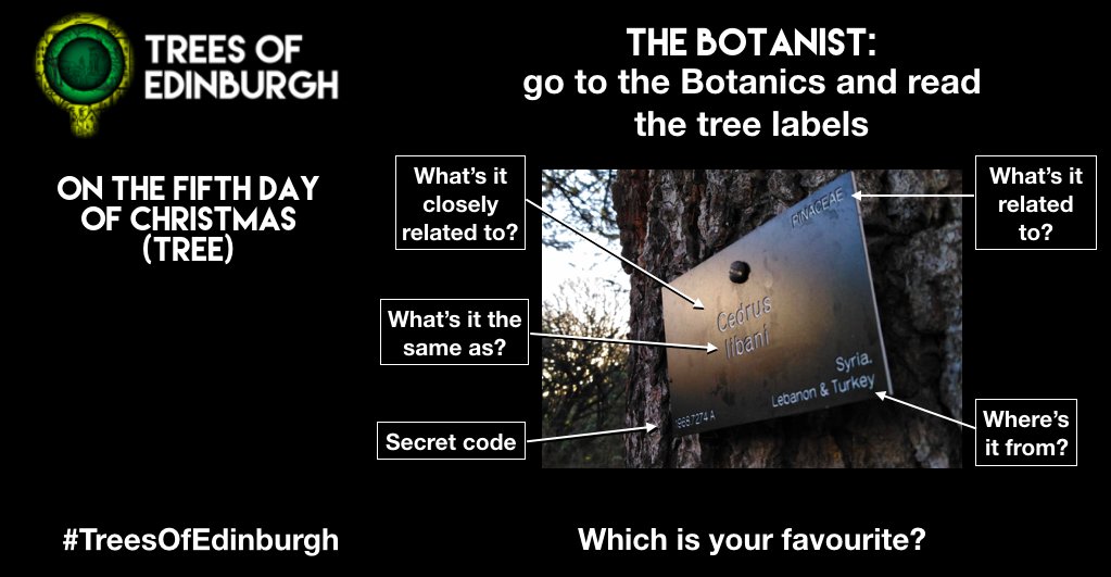 On the fifth day of Christmas (tree)

THE BOTANIST: pay a visit to <a href="/TheBotanics/">Royal Botanic Garden Edinburgh</a> and read the tree labels.

Which is your favourite?