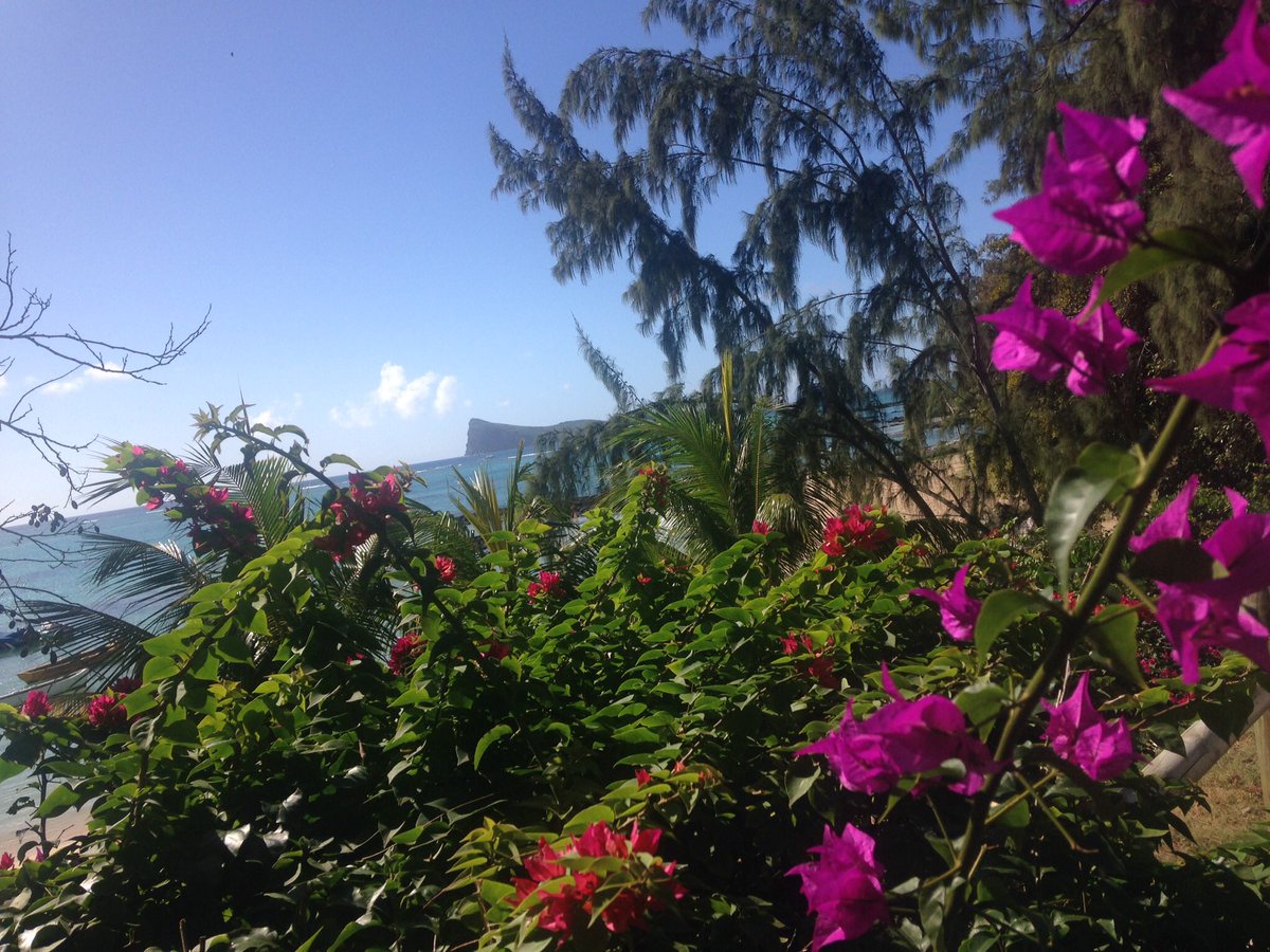 tdmxn's tweet photo. Thread de mes meilleurs endroits à l’île Maurice 🇲🇺 https://t.co/x1PlNkzeDl