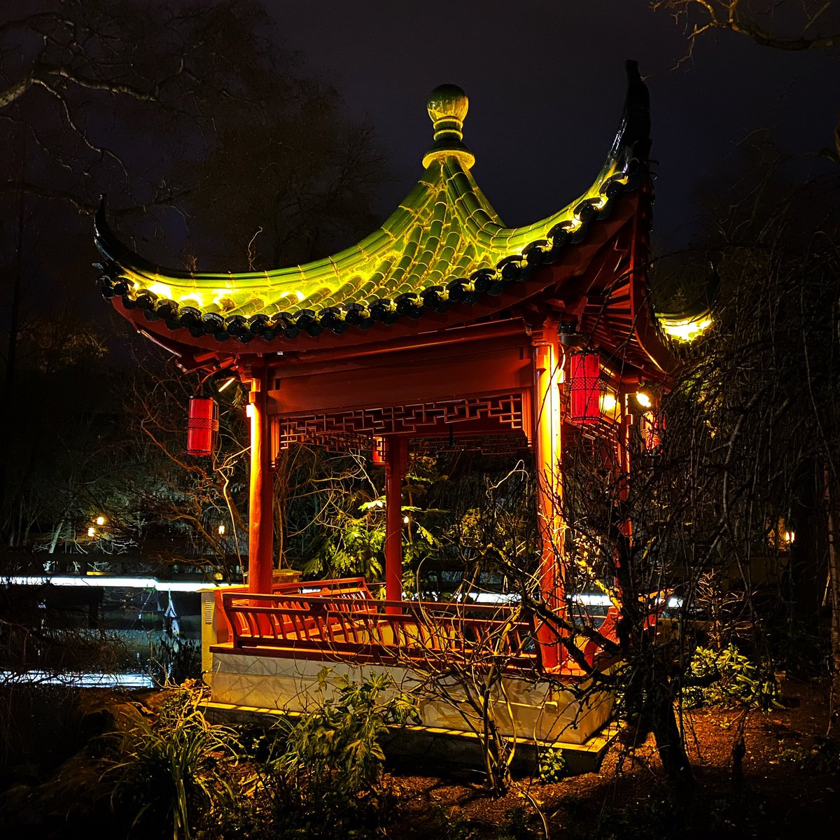 severinedr's tweet photo. Le #royaumedumilieu dans son habit de lumière à @pairidaiza. Quelle merveille 🤩 Une invitation à s’y perdre, flâner, se laisser porter par le #calme qui y règne encore plus que d’habitude ✨ #pairidaiza #lejardindesmondes #zenitude #magie #hiver #magicwinter https://t.co/OBbgO2EVnO