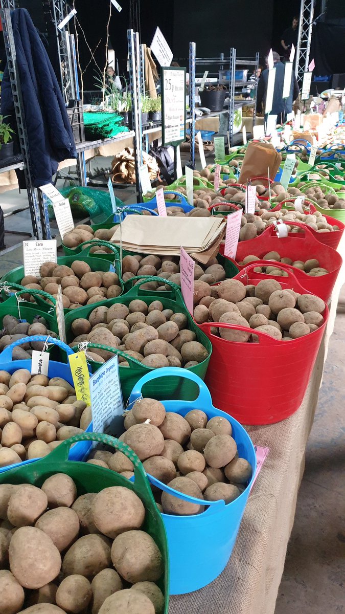 Potatoes r us! Less than a week to first potato day! potato-days.net