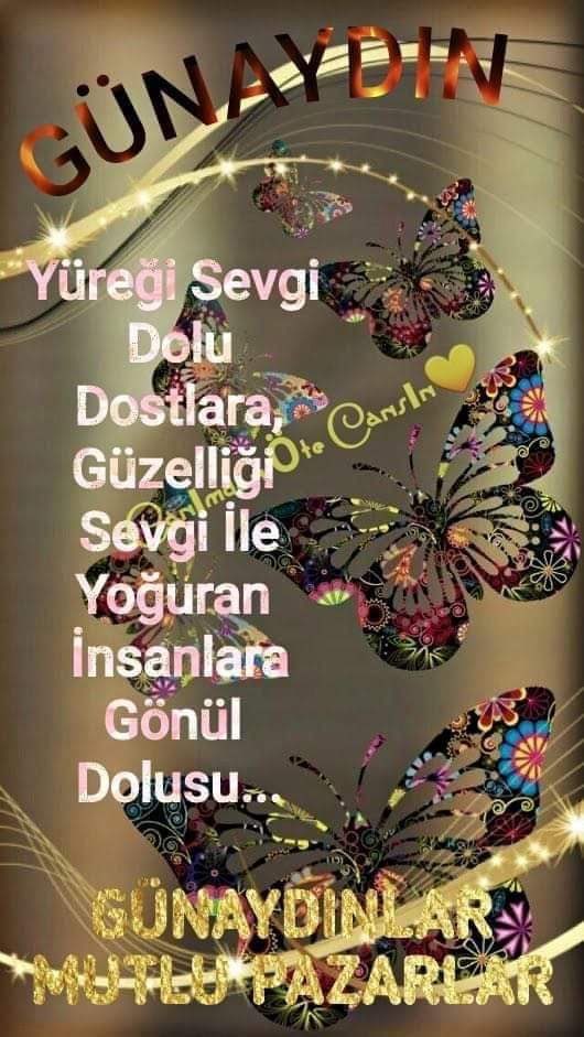 sevimcelikkan's tweet image. 