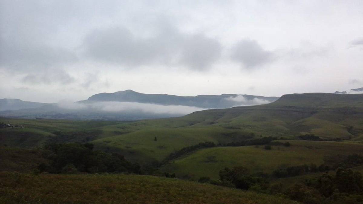 What a beautiful cool, overcast day in the Southern 'Berg. Really enjoying this cool weather after the intense heat we've been enduring. (Pic: Elijah Bhengu)