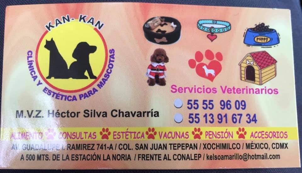 blaeguzman's tweet photo. Rt pliss! Una amiga llevó a baño a sus perritas y al@ir por ellas le entregaron a una muerta, los vet se lavan las manos y es que fue atacada por un pitbull sin bozal. Ella puso estos datos. @MundoPatitas @MrElDiablo8 @TlalpanVecinos @perrososmx @MascotaCoyoacan https://t.co/EIWUx6bq8Z