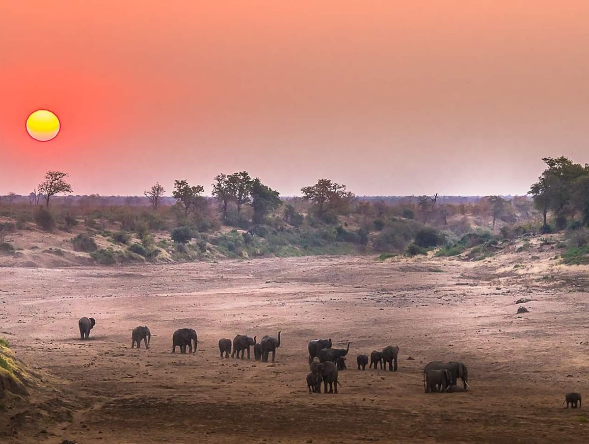 jolakaziza's tweet photo. Sunrise in #Africa paints the sky with pinks and the sunsets with peaches. Cool to warm.
It's quite the experience 
https://t.co/KKEneMQCmj 
#traveltheworld https://t.co/78QX94kuVv