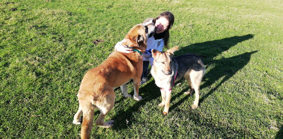 OrdenRevanCan's tweet photo. Paseo con "Cocó" y con nuestro perro apadrinado "Solo" en el refugio #Asproan (Santander).
#AdoptaNoCompres #RespetoAnimal #TenenciaResponsable #Adopta #Teaming #Asproan #Santander #Cantabria https://t.co/PsF7oFFUAE