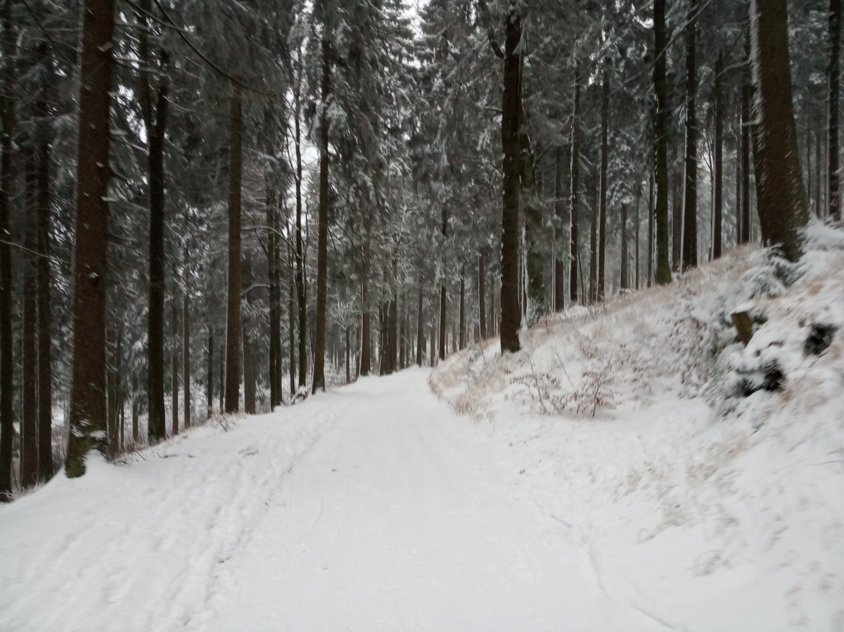 Dzień dobry 😊 miłej niedzieli ❄️☃️⛷️☕ #Zieleniec