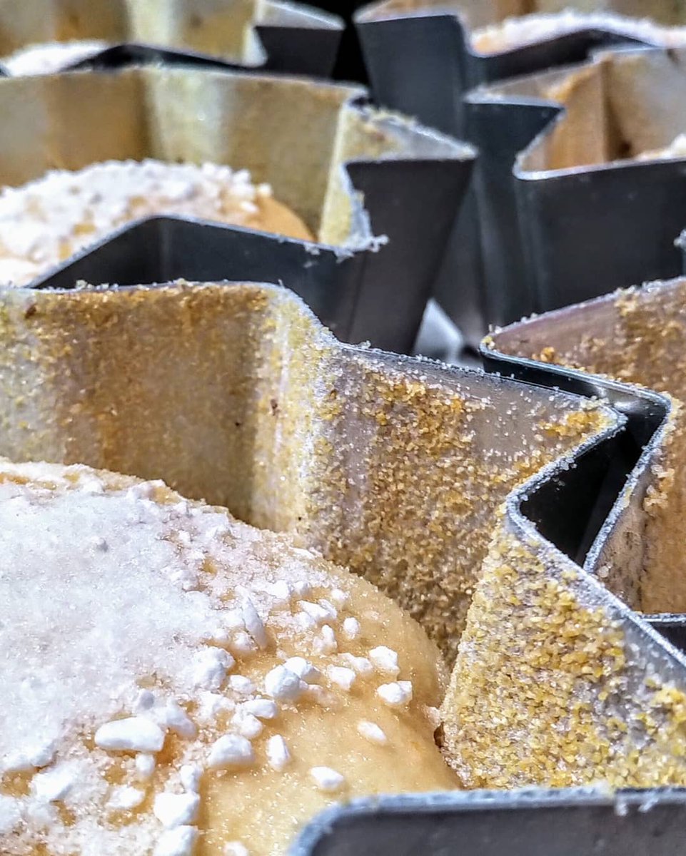 fornocultura's tweet photo. In full #production Our Classico Pandoro Handmade Naturally Leavened #leivitomadre #fornocultura #teambread #nightbake #tradizioni #artigianale #italiano https://t.co/dQDEPge6Ex